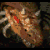 Zergling Portrait